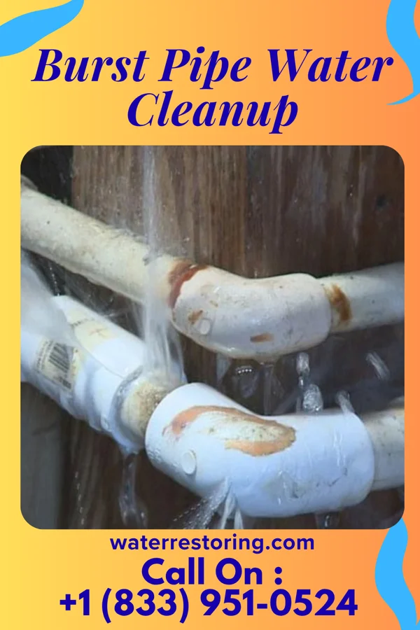 Burst Pipe Water Cleanup in Clarkson, KY