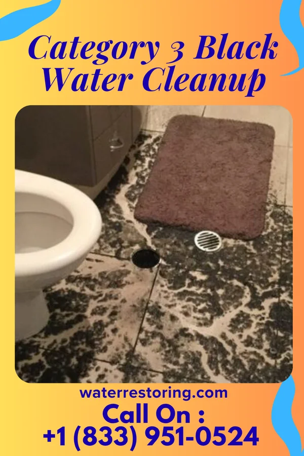 Category 3 Black Water Cleanup in Clarkson, KY