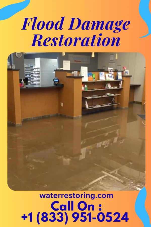 Flood Damage Restoration in Clarkson, KY