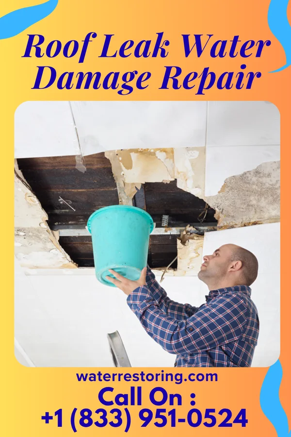 Roof Leak Water Damage Repair in Clarkson, KY