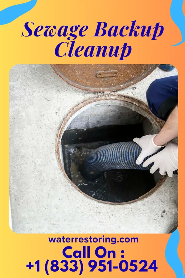 Sewage Backup Cleanup in Clarkson, KY